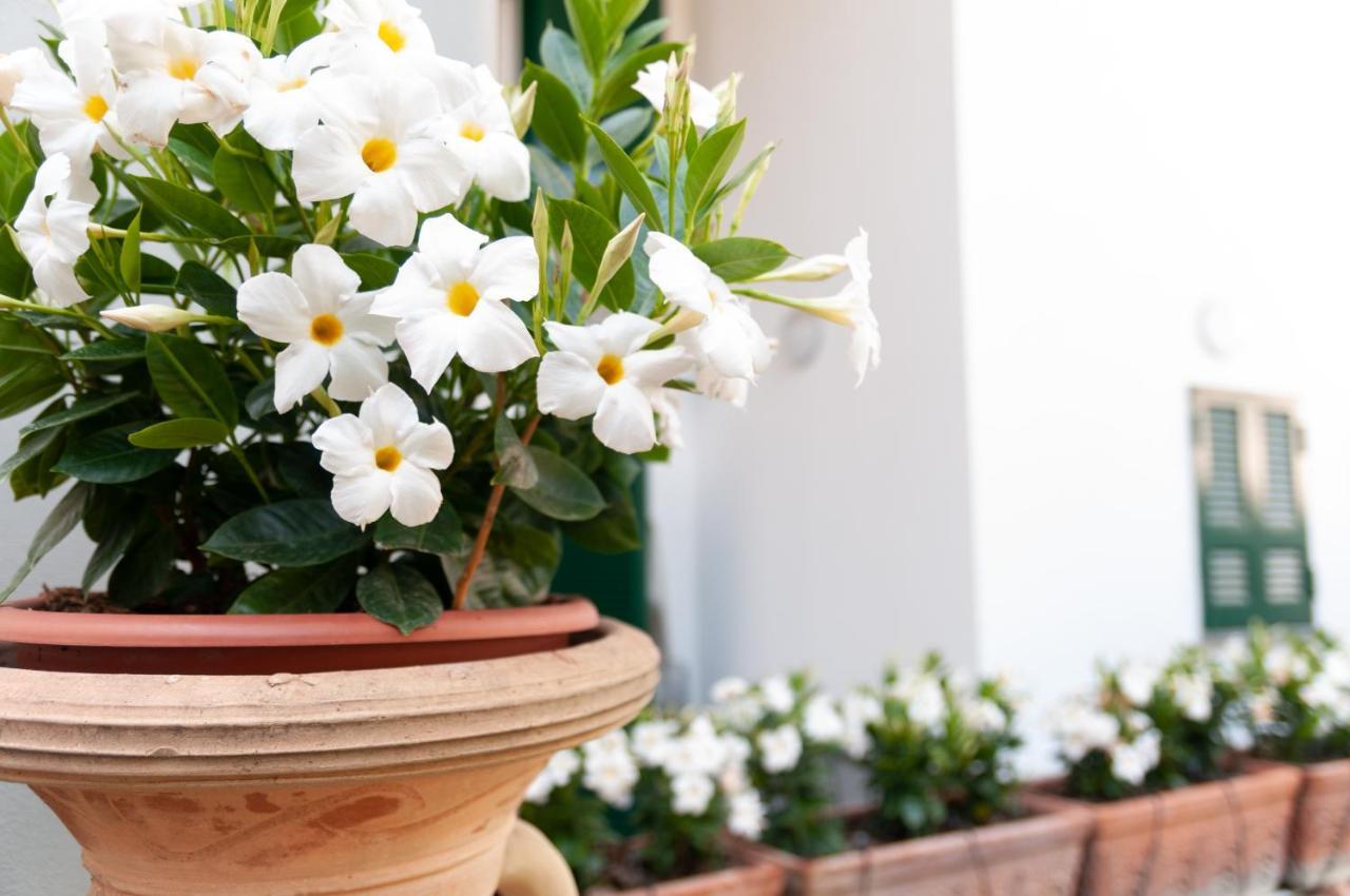 Casa Teresinella Garden Apartment ตอร์เร อันนุนซิอาตา ภายนอก รูปภาพ
