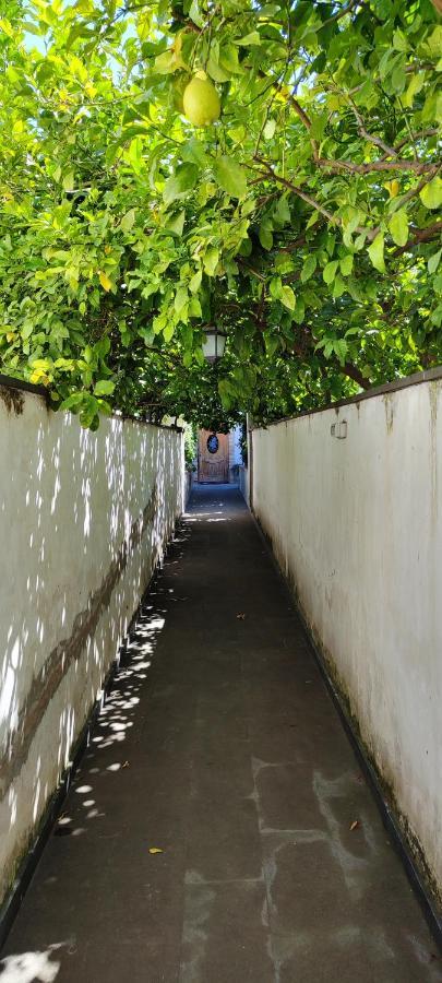Casa Teresinella Garden Apartment ตอร์เร อันนุนซิอาตา ภายนอก รูปภาพ