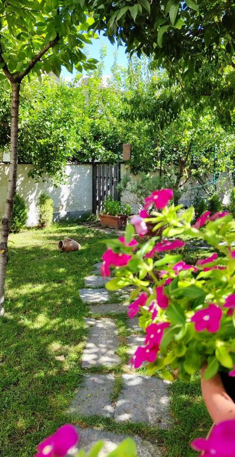 Casa Teresinella Garden Apartment ตอร์เร อันนุนซิอาตา ภายนอก รูปภาพ